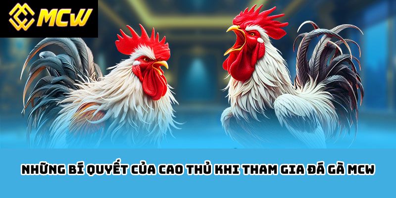 Những bí quyết của cao thủ khi tham gia đá gà MCW